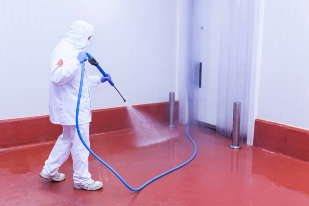 Professional Pressure Washing Services in East Hemet, CA